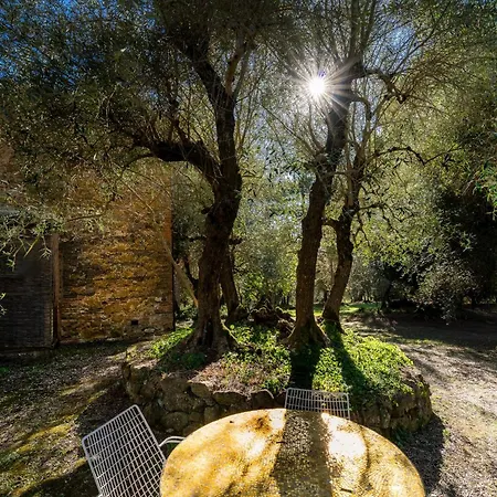 Country house Montechiaro Siena