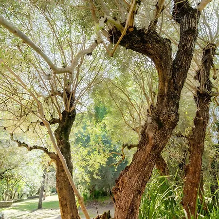 Montechiaro Country house Siena