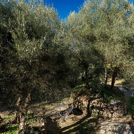 Montechiaro Siena