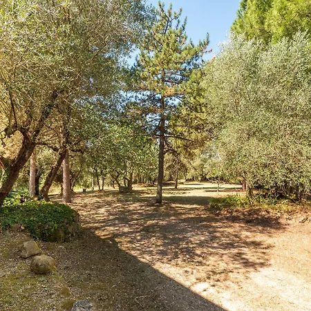 Country house Montechiaro Siena