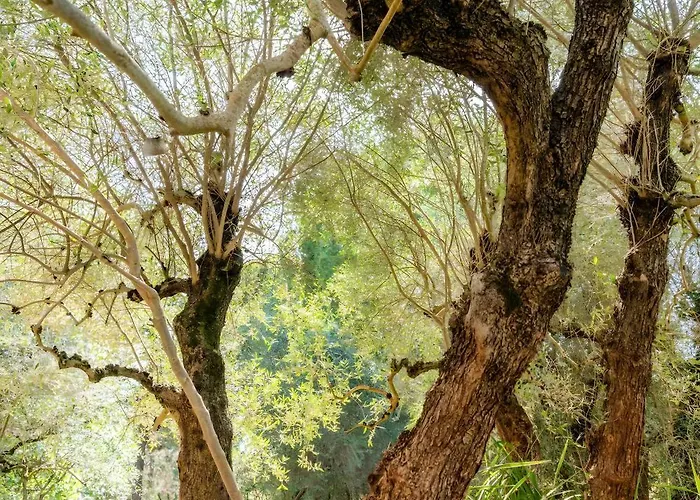 Montechiaro 乡村民宿