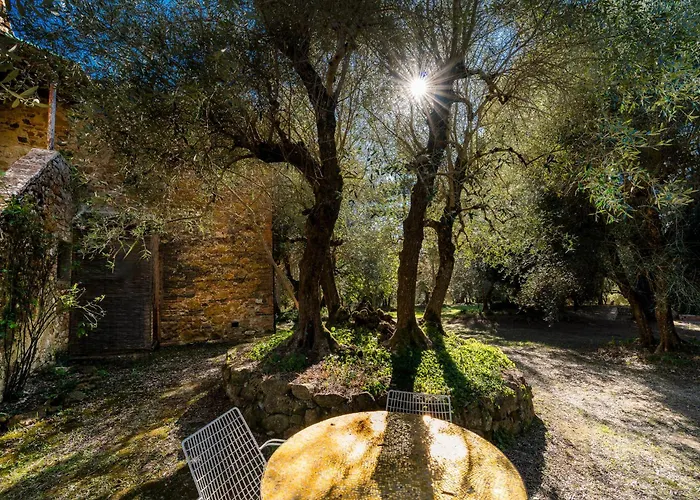 Montechiaro Country house *